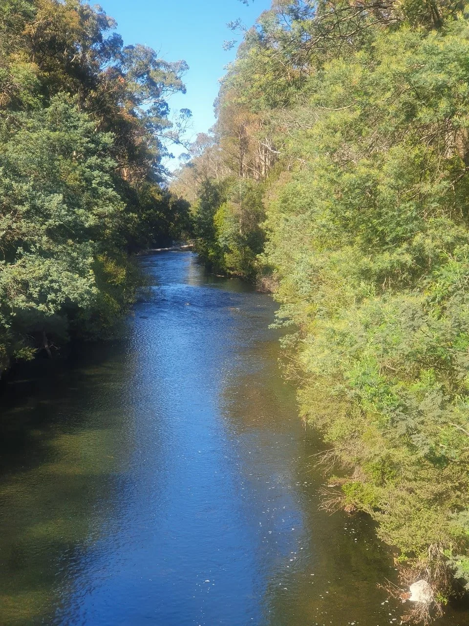 The Meander River, an hour's drive from Miena