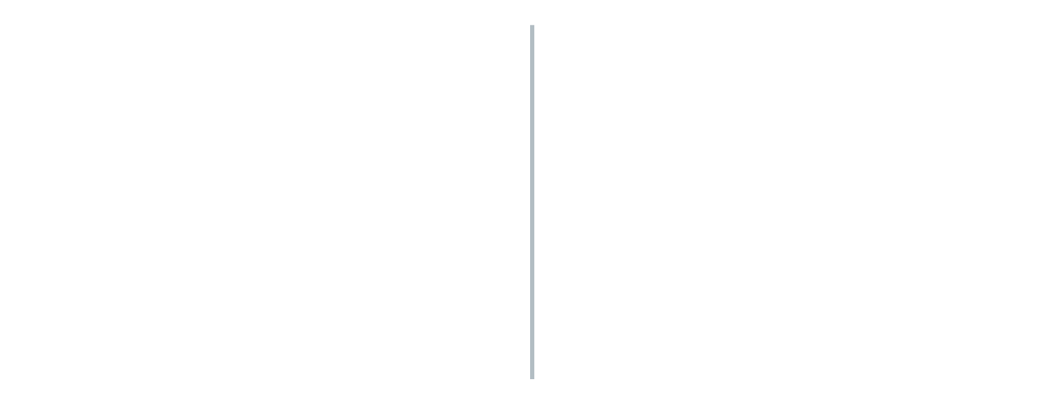 Pro Branding Line.png