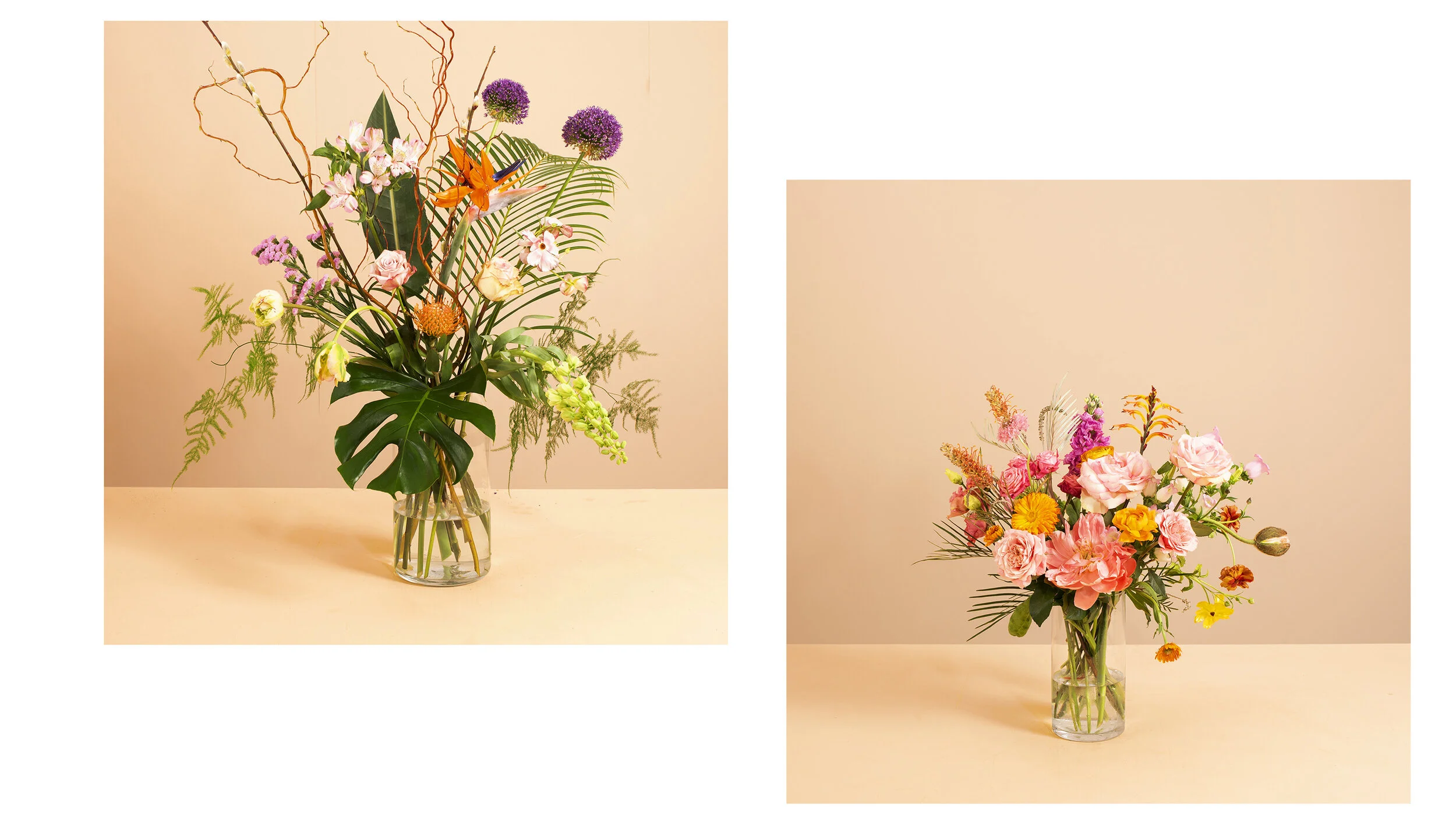 Bloomon website.jpg