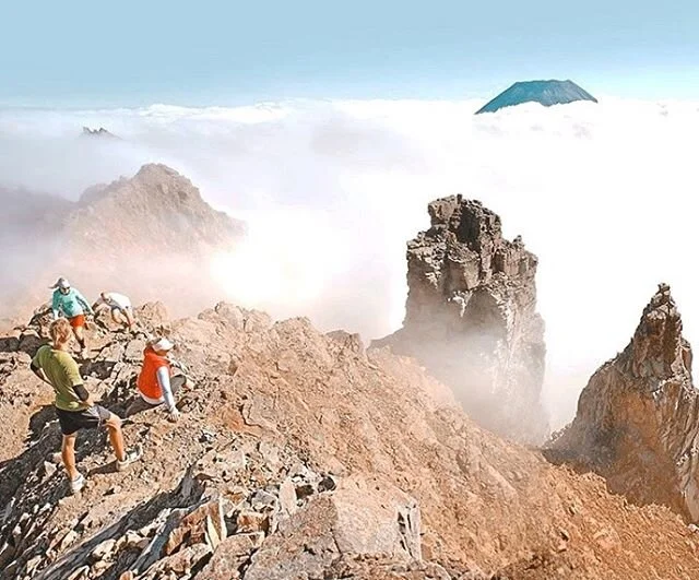 Ruapehu summer hikes are as magnificent as winter ski adventures! The Whakapapa Skyline trail, one of the most stunning short hikes in the national park, is open. You take the Sky Waka 1.8km to 2,020m above sea level and follow the markers to Skyline