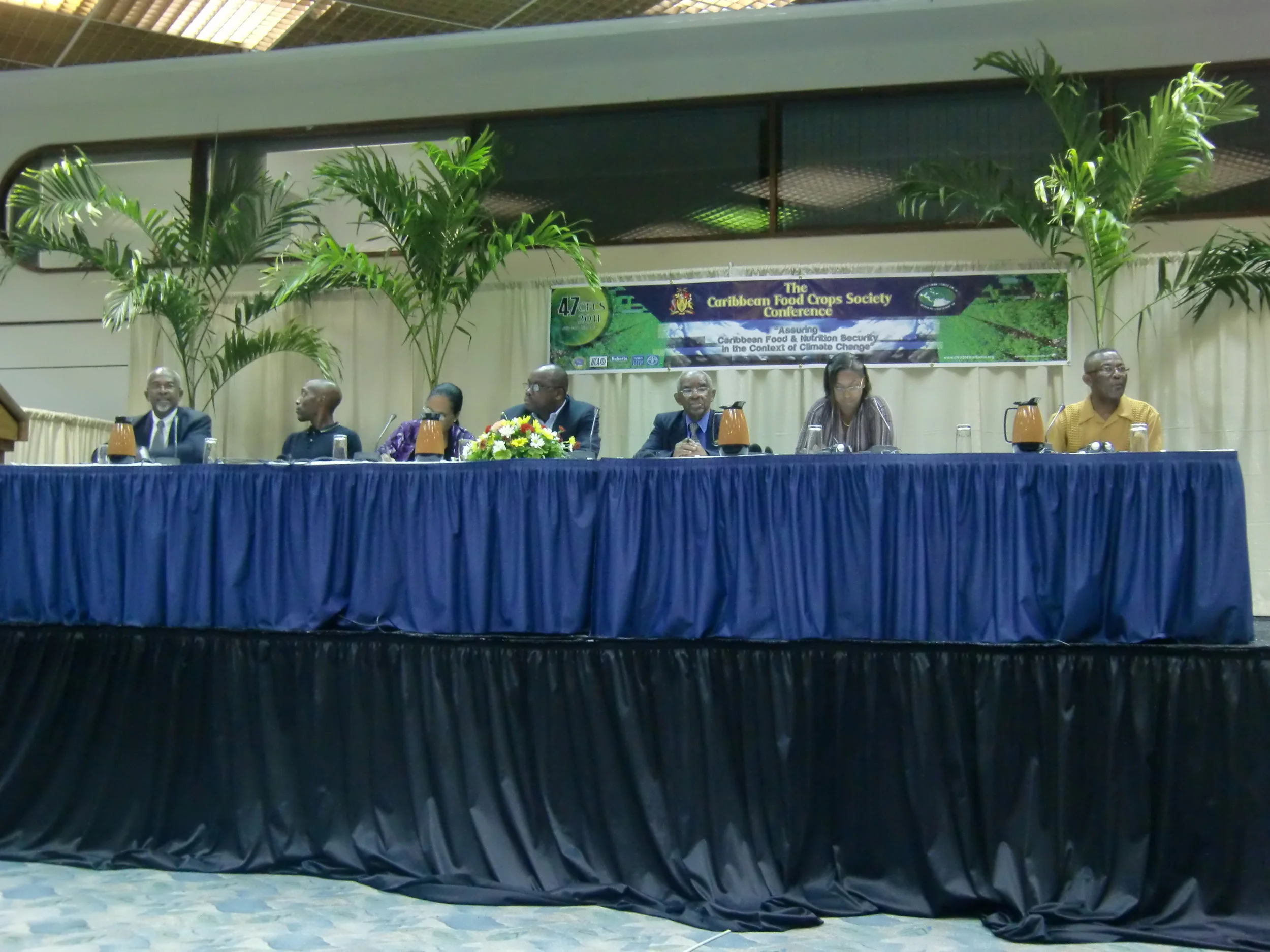 CIMG0577.JPG