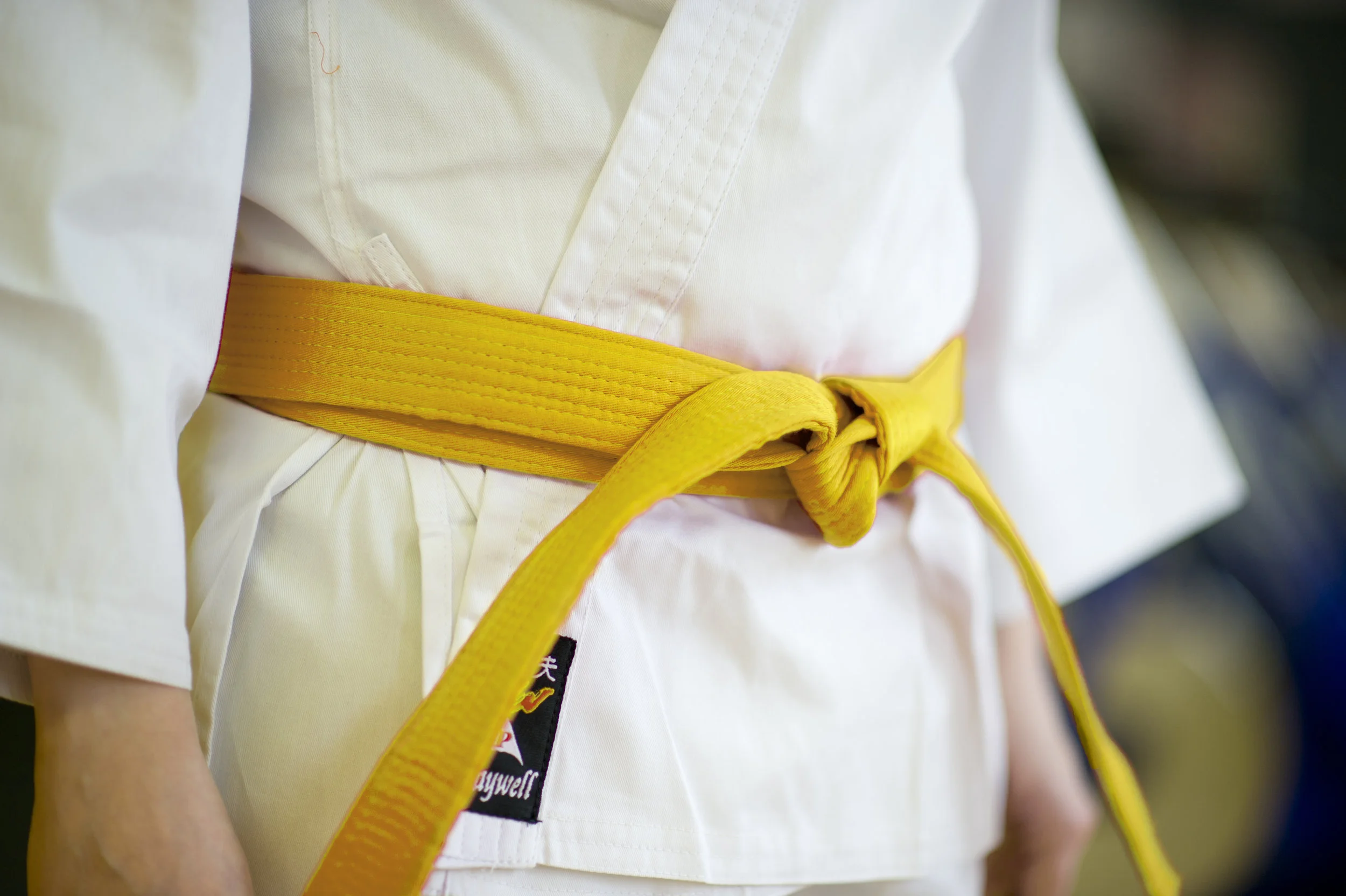 Train Today Wed 6th Nov