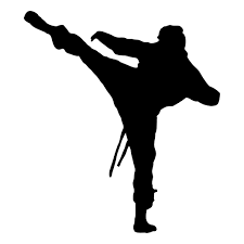 Train Today - Saturday 19th January