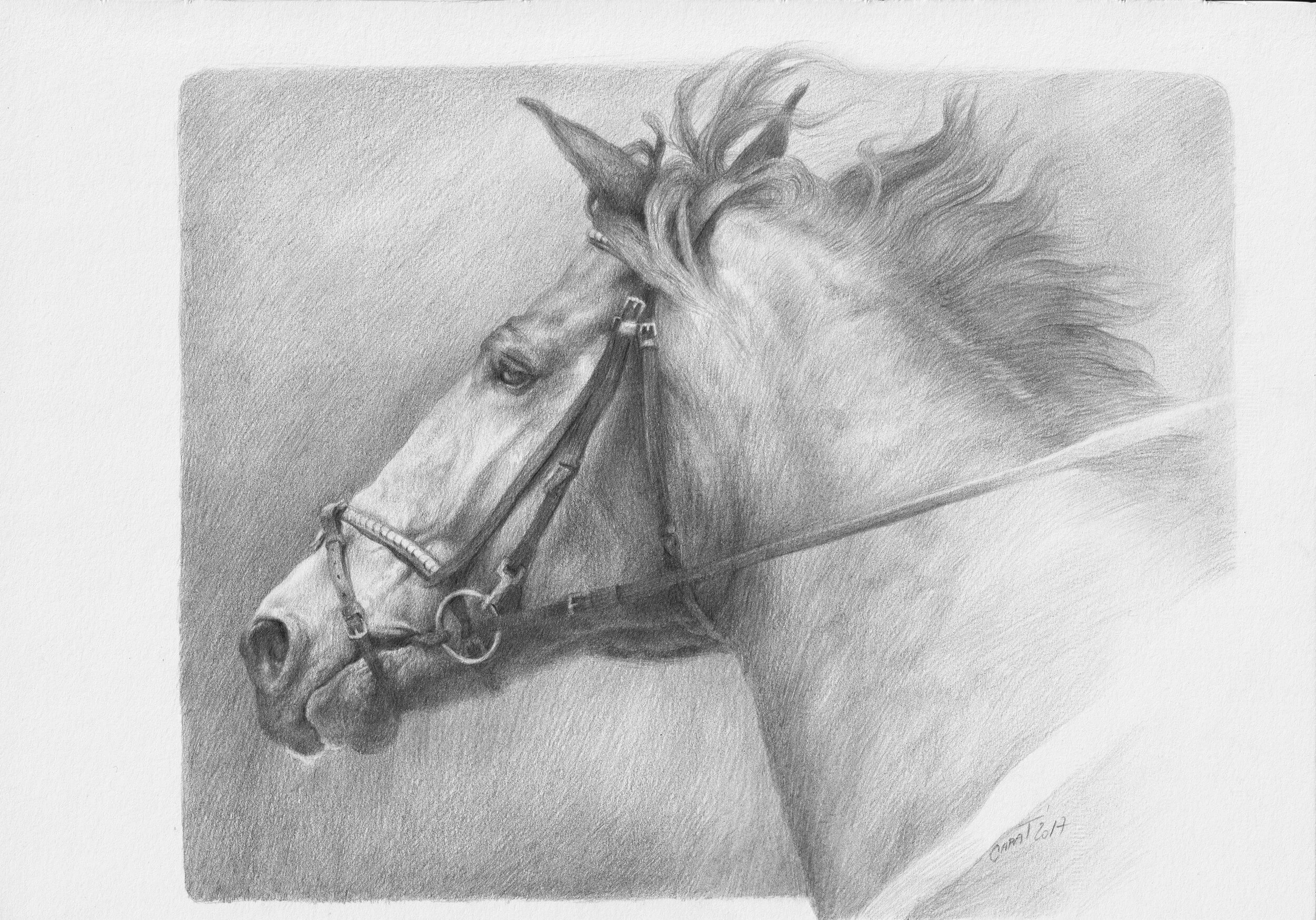 Freedom_pencil_m_market_.jpg