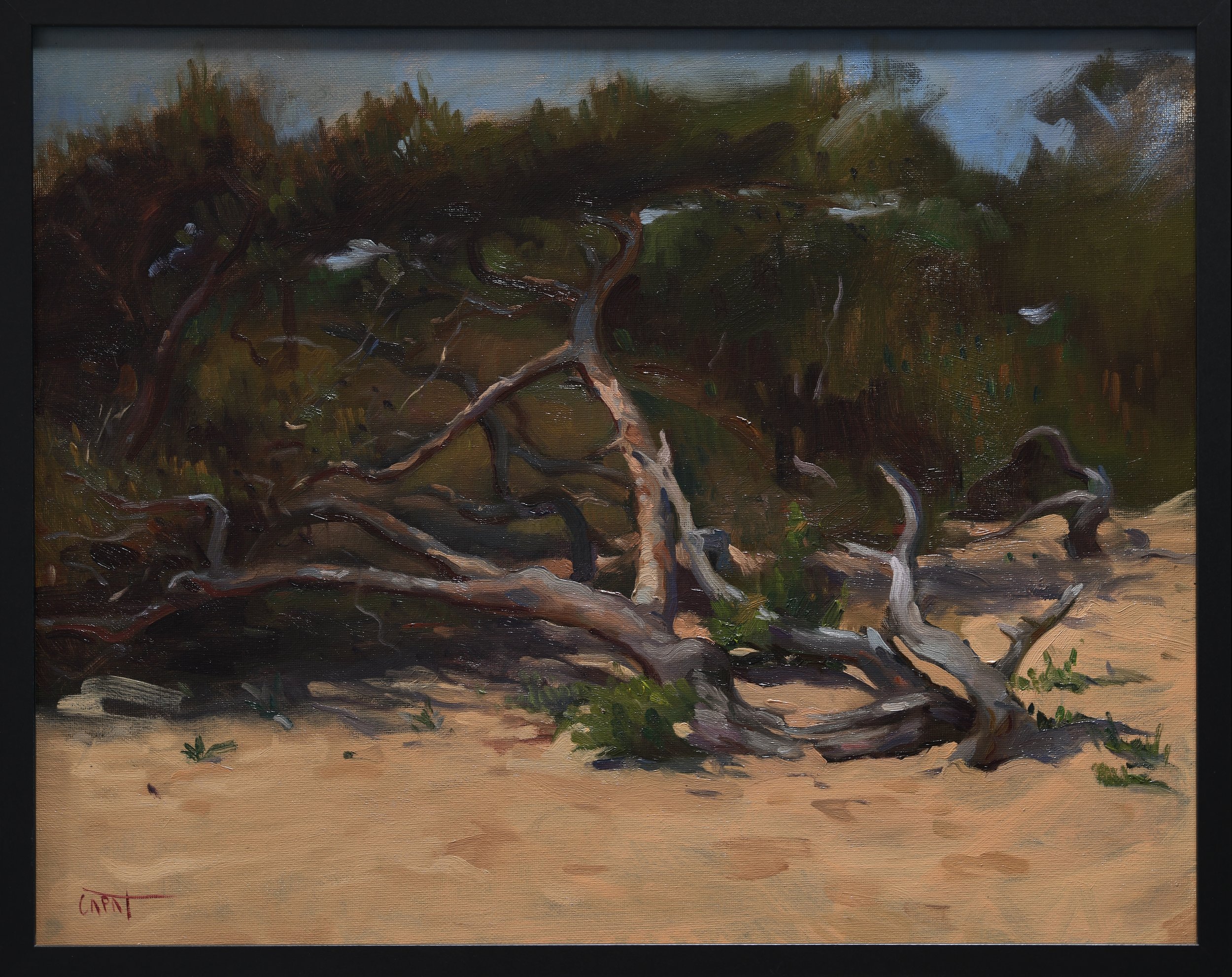 landscape_Skåne_2025_capat_art_frame_2025.jpg