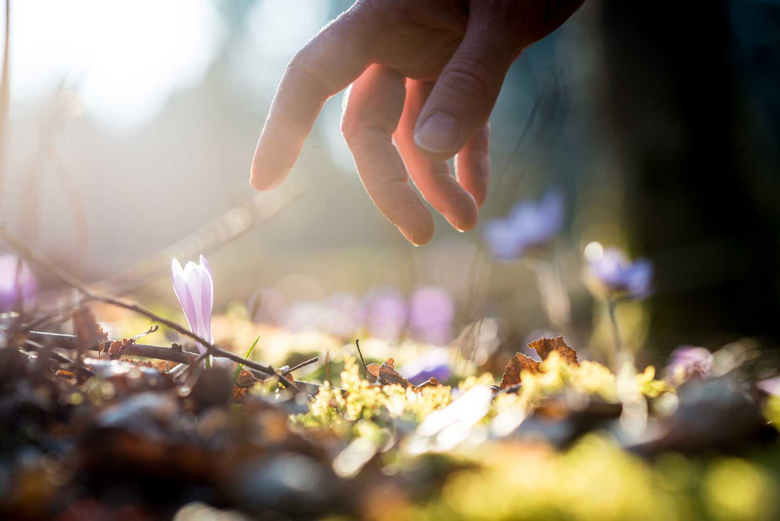 contact-for-energy-healing-cape-town.jpg