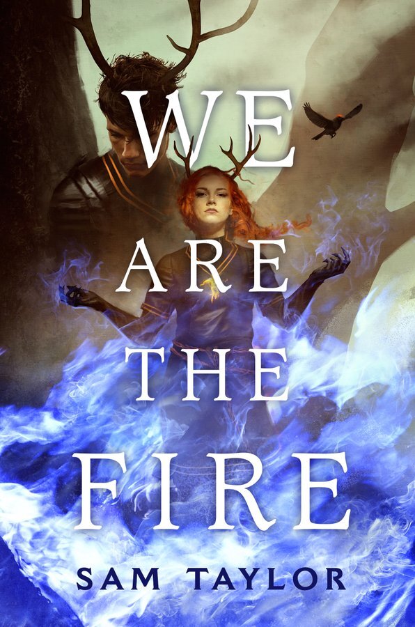 We Are The Fire.jpg