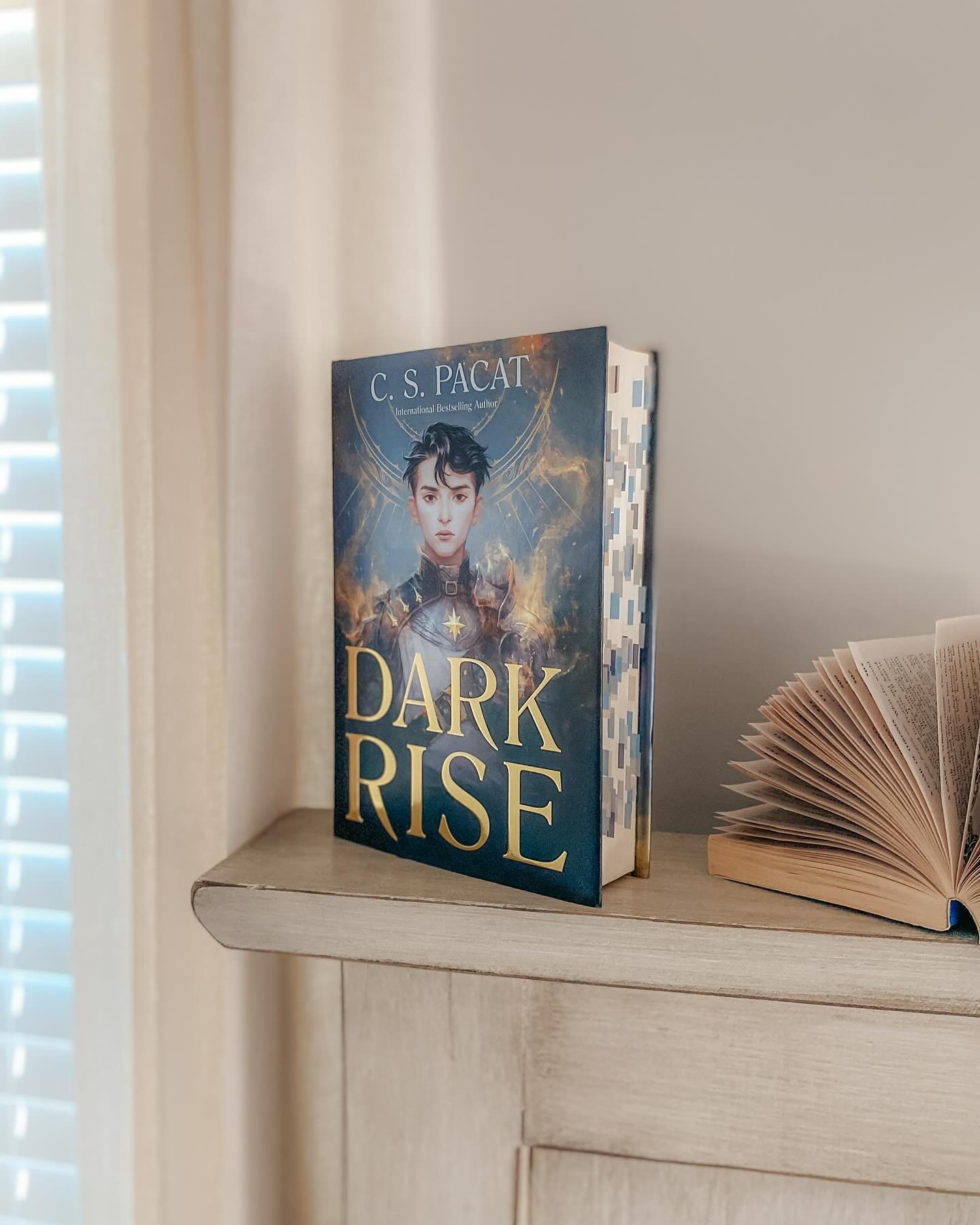 &bull; DARK RISE  r e v i e w

I am obsessed. I can&rsquo;t believe I waited this long to finally experience this story &mdash; Dark Rise is another that ended up sitting on my shelf for too many years. Why aren&rsquo;t more people talking about this