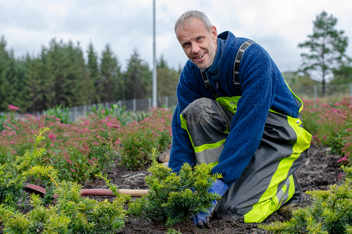 Planting Anleggsgartner Stord