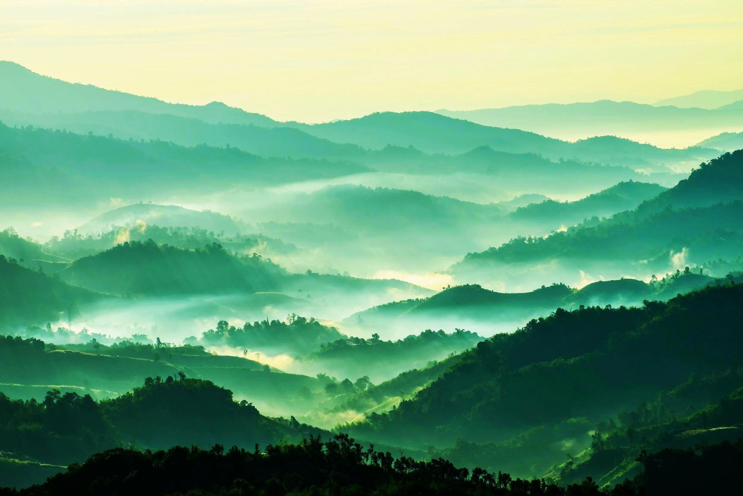 shutterstock_753385105 (1).jpg