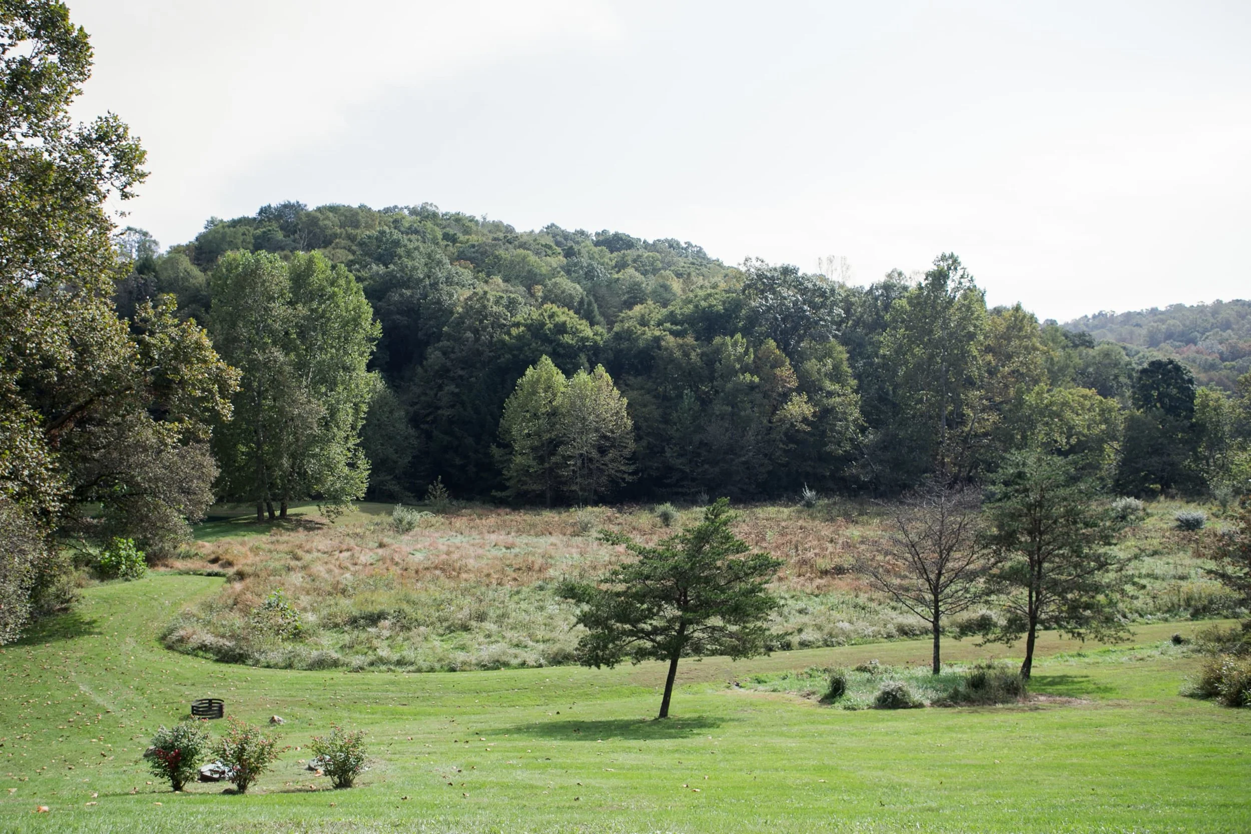 crockettsrun-ml-5.jpg