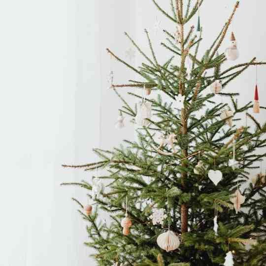 7 Tips For An Eco-Friendly Christmas In 2022 — Sustainably Lazy