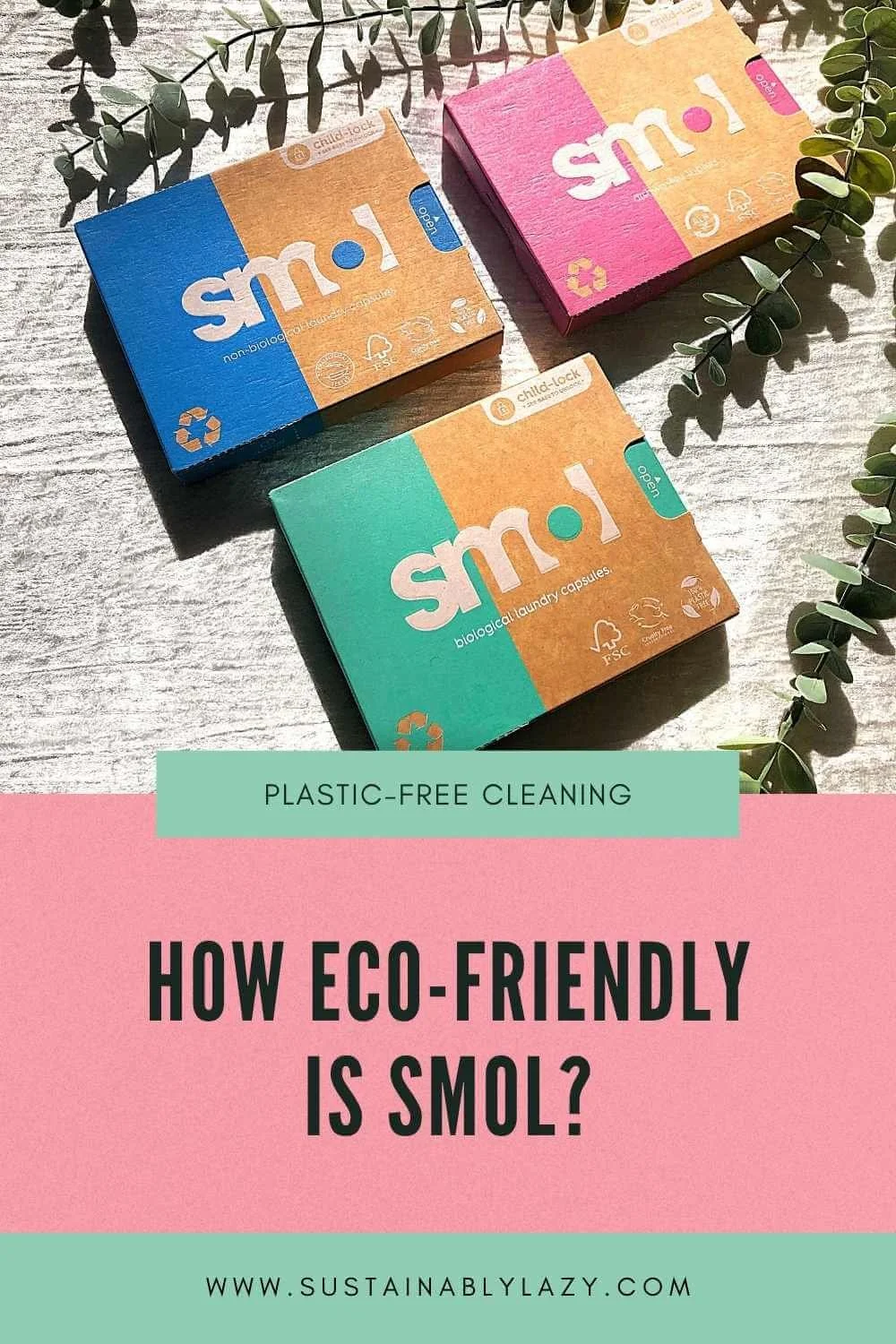 How Eco-Friendly is Green Cleaning Brand Smol? — Sustainably Lazy
