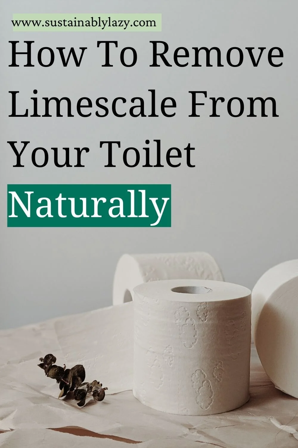 How To Clean Limescale From Your Toilet Naturally — Sustainably Lazy