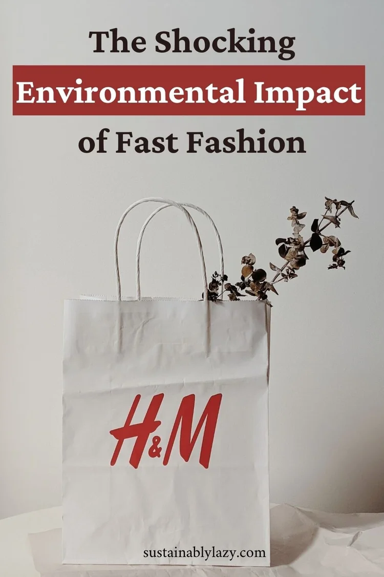 How Does Fast Fashion Impact The Environment 11 Questions — Sustainably Lazy