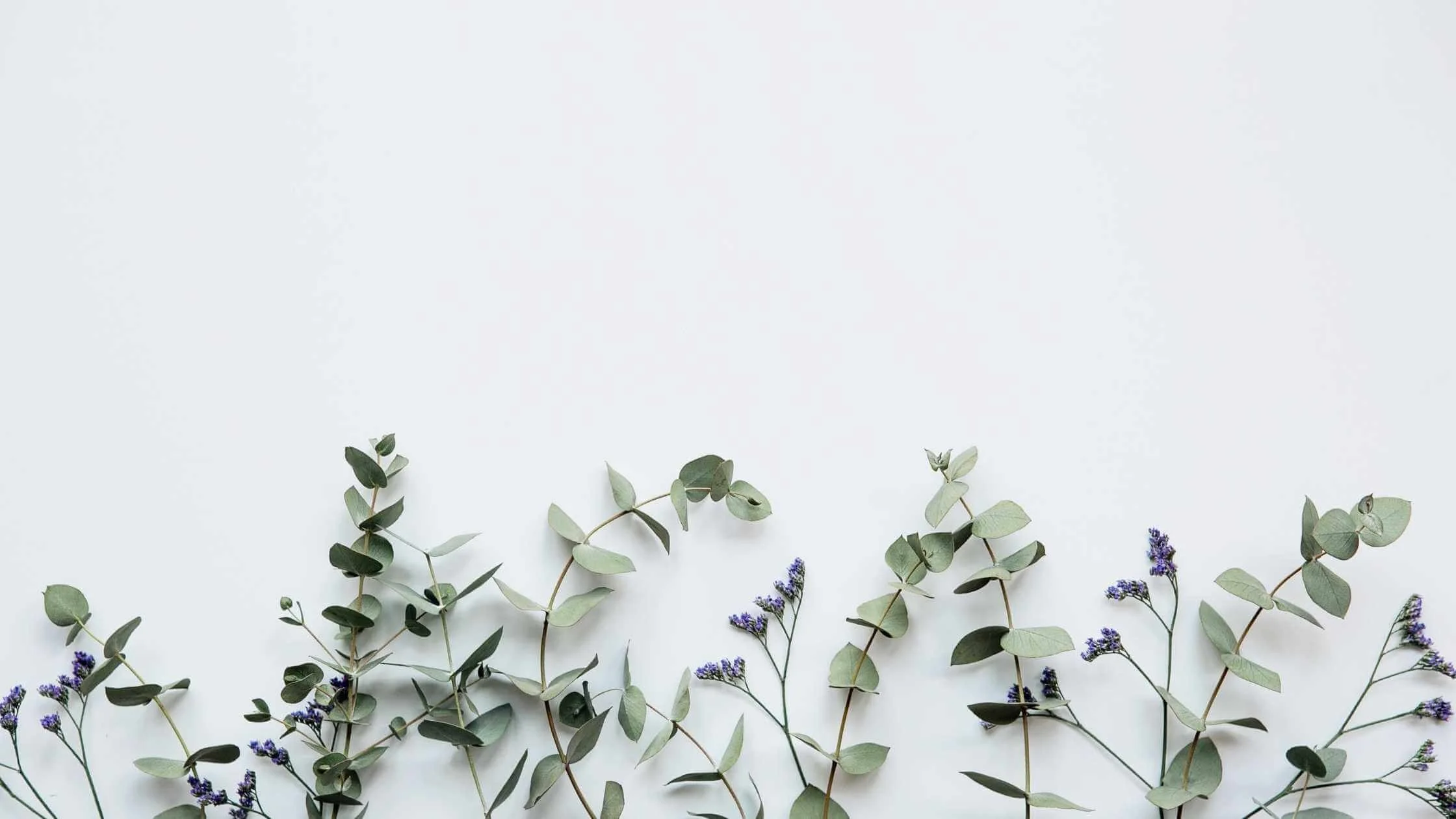 Sustainable Eco Blog  (1).jpg
