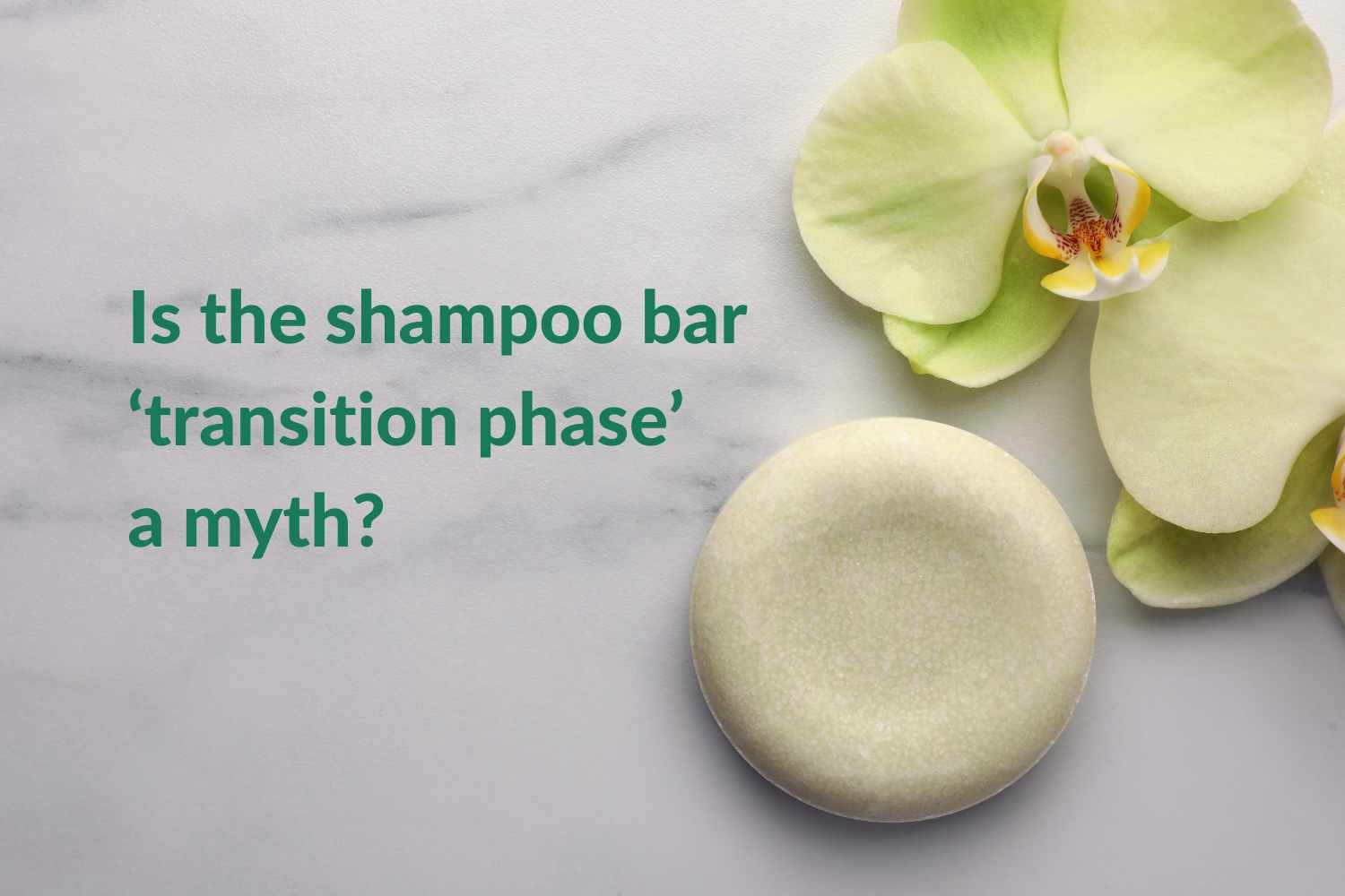 How to Avoid The Dreaded Shampoo Bar Transition Phase
