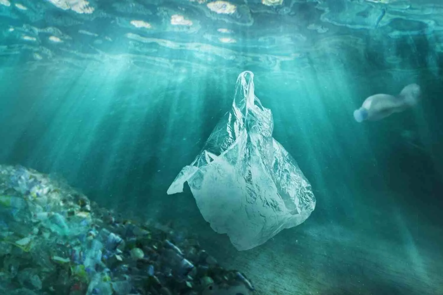 How To Reduce Your Microplastic Pollution This Earth Day