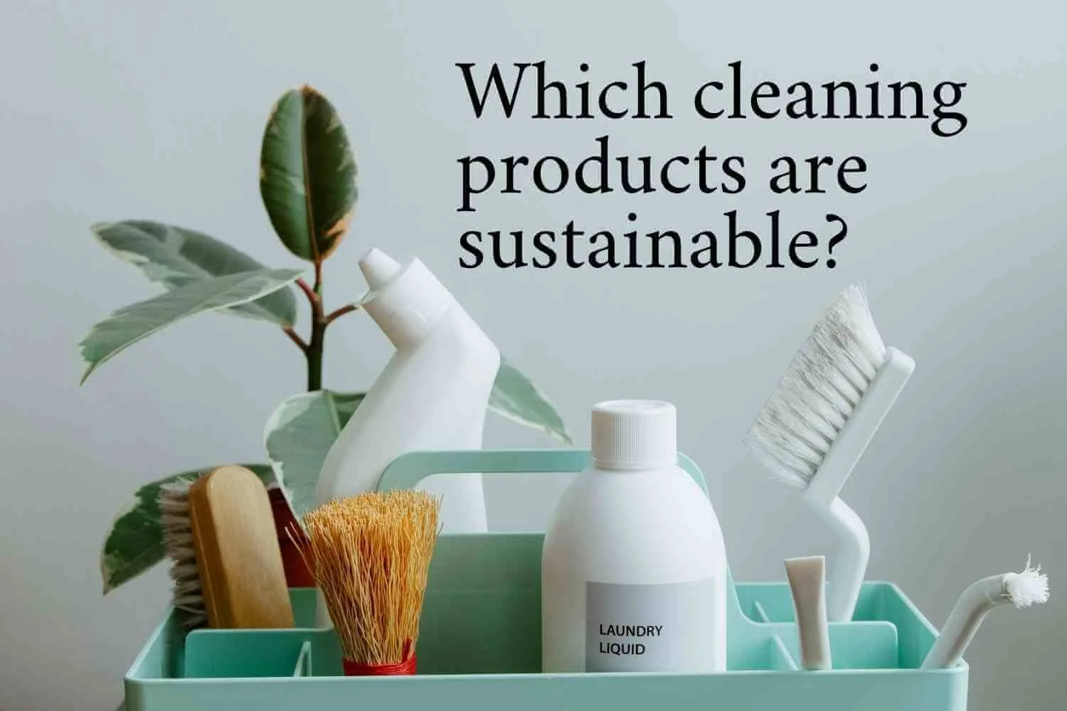 Green Cleaning Products