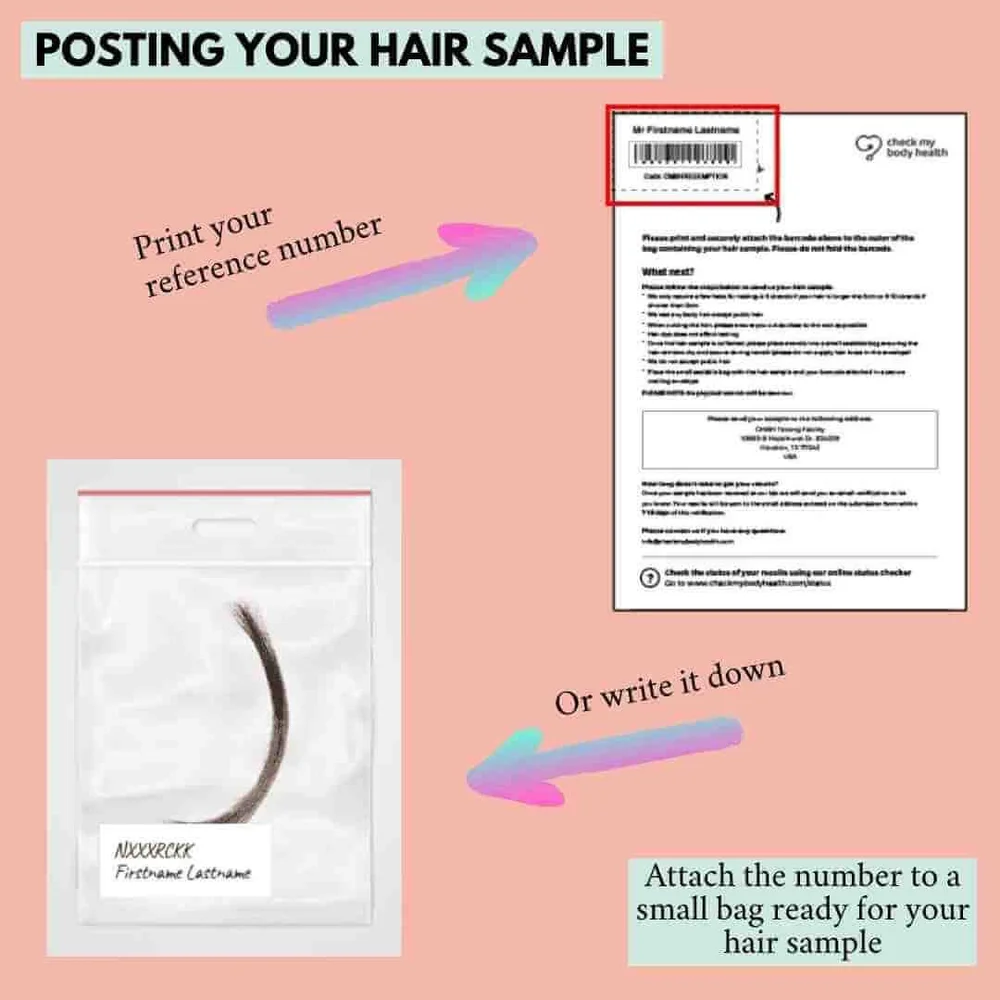 Food Sensitivity Test Review + Results Check My Body Health 2022