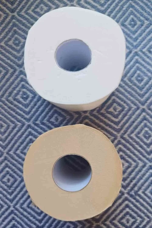 How Sustainable is Who Gives A Crap? A Detailed Review of Eco Toilet