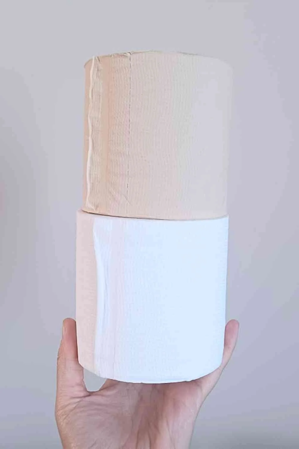 How Sustainable is Who Gives A Crap? A Detailed Review of Eco Toilet