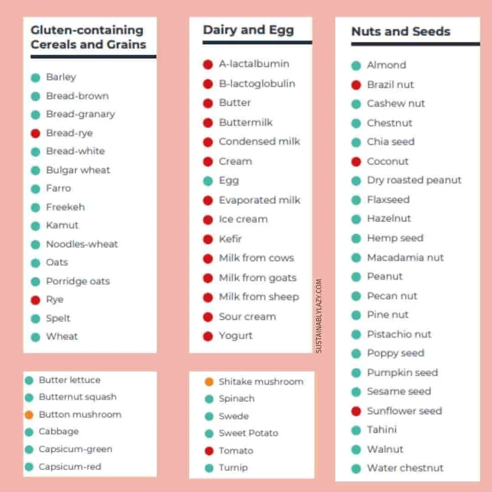 Food Sensitivity Test Review + Results Check My Body Health 2022 — Sustainably Lazy