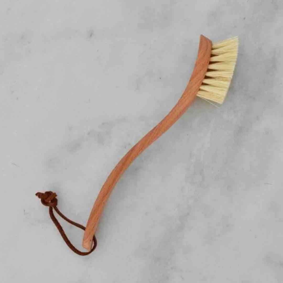 20+ Sustainable Alternatives to a Plastic Dish Sponge — Sustainably Lazy