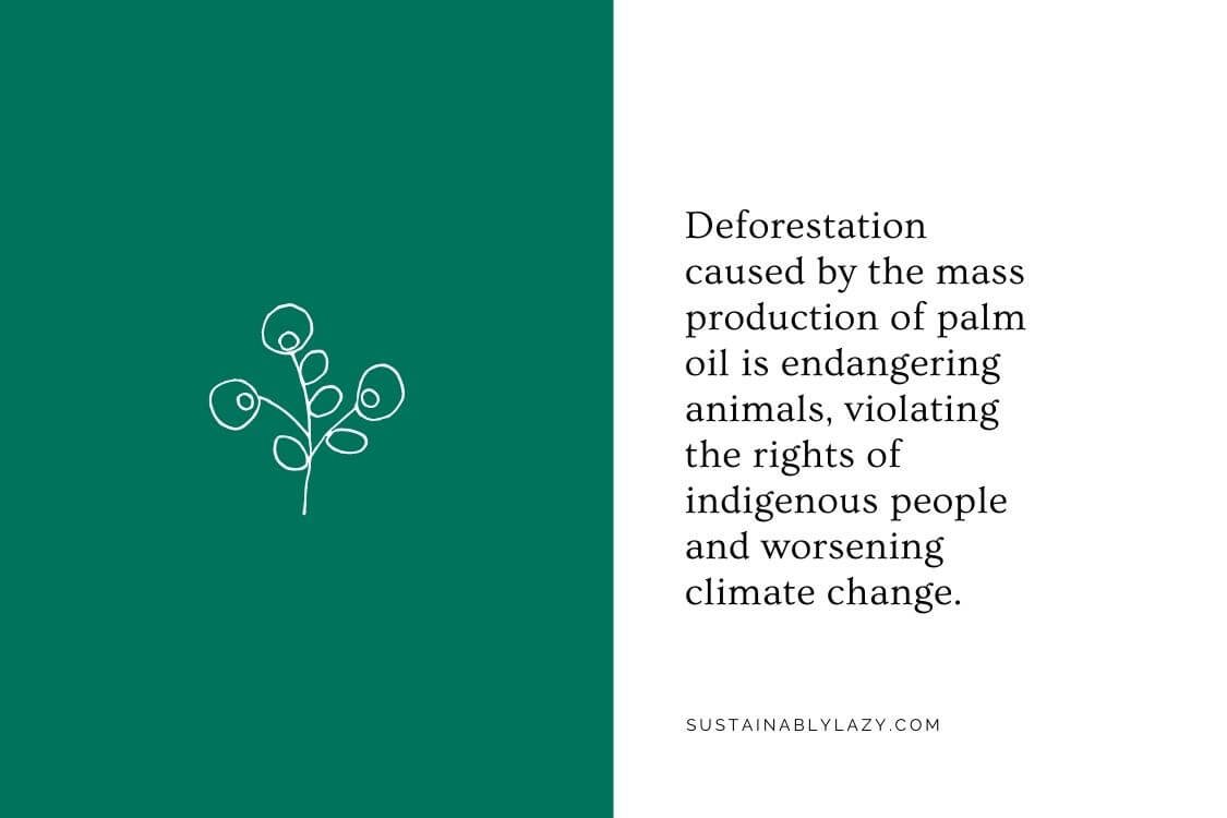 How EcoFriendly is Green Cleaning Brand Smol? — Sustainably Lazy