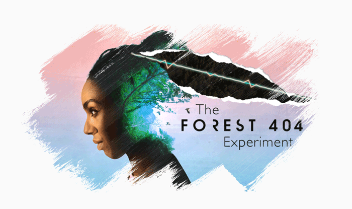 Forest 404 Experiment.gif