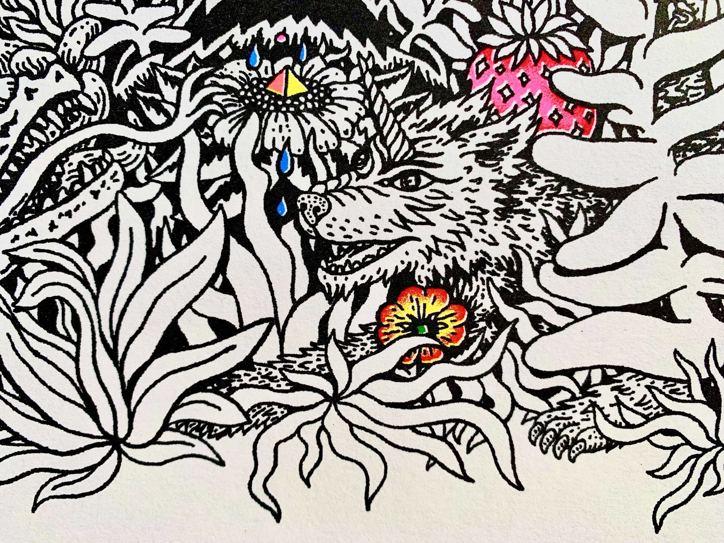 40E8E350-BA37-4797-BC36-DDE69BA66E49