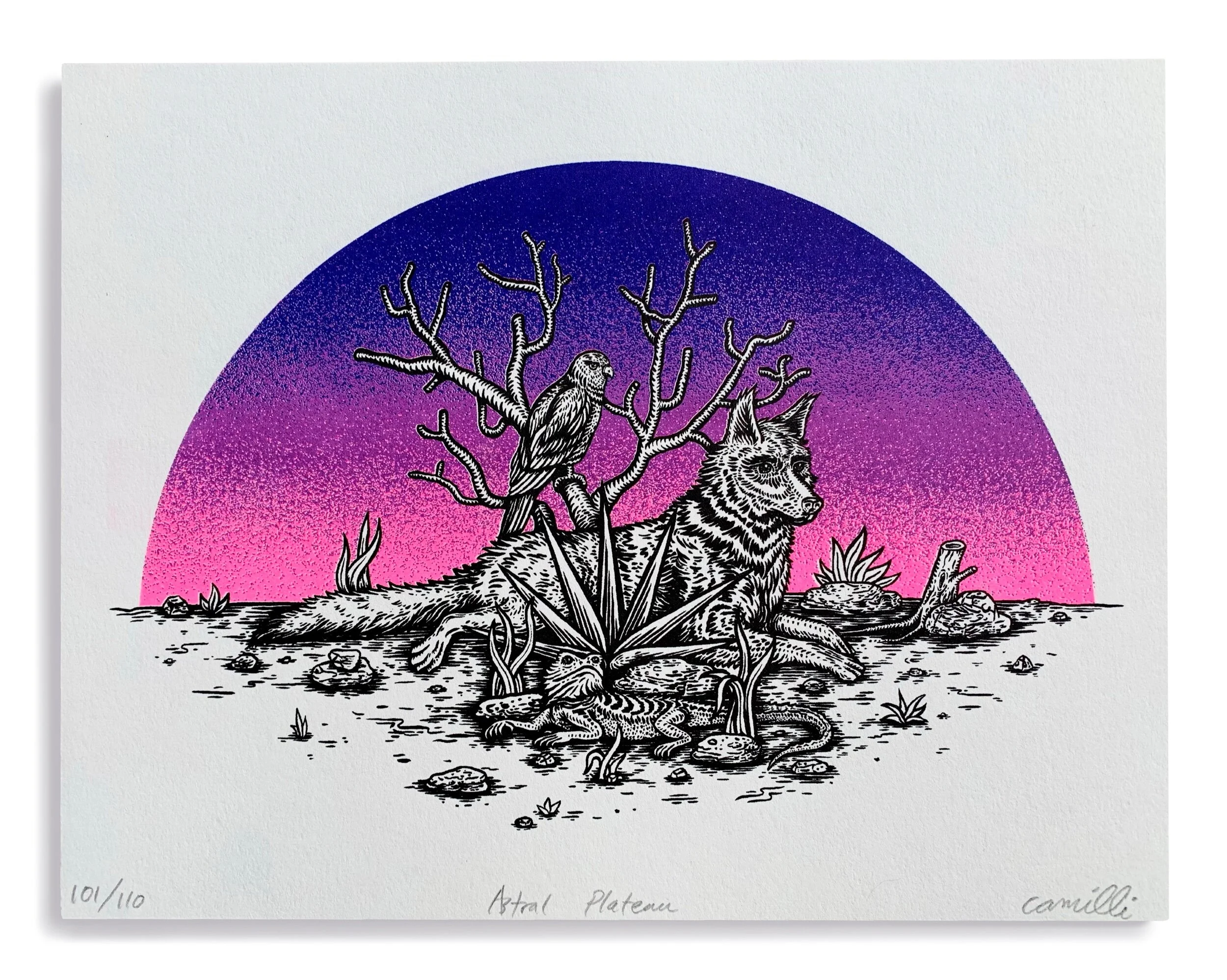 A4A87901-293D-4BA2-AEB9-A5483BCAF28E