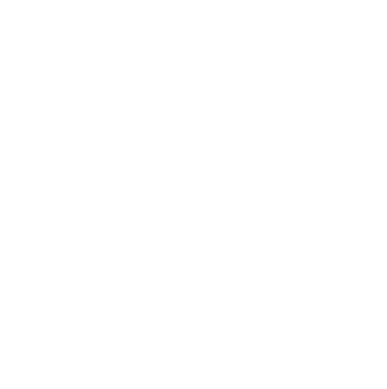 CLEVER STORAGE ICON.png