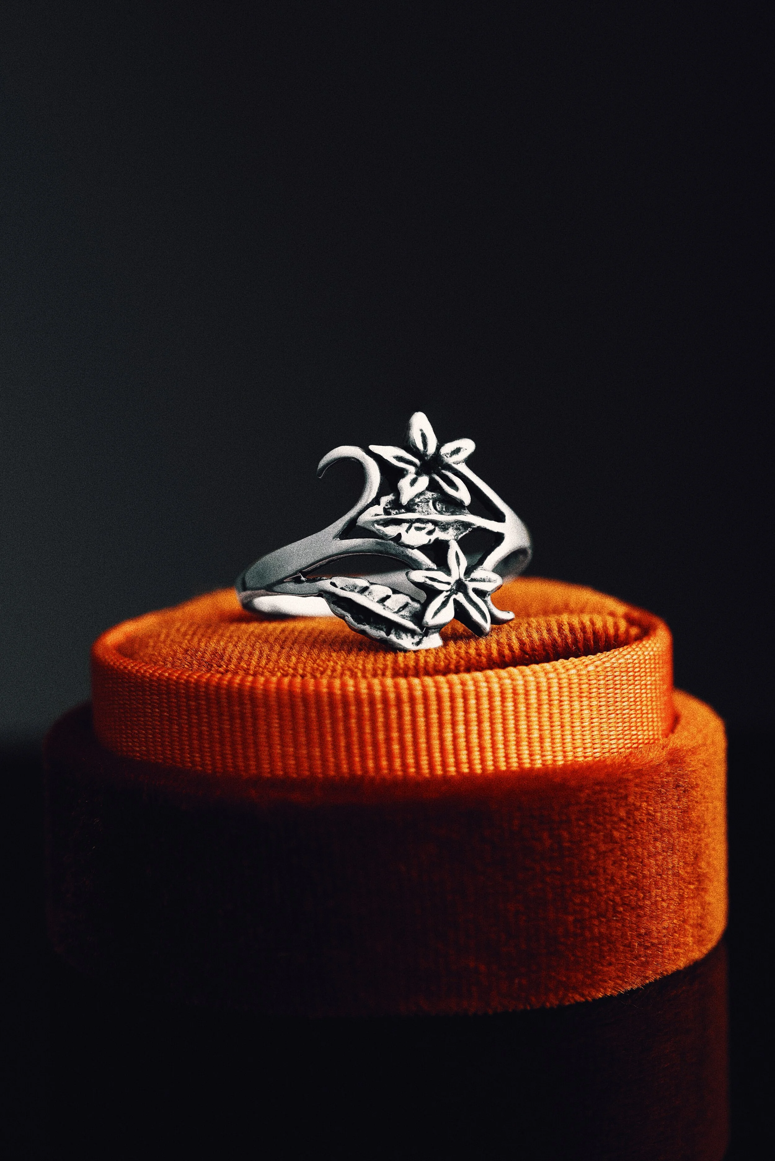 GGG ALNWICK0060.jpeg