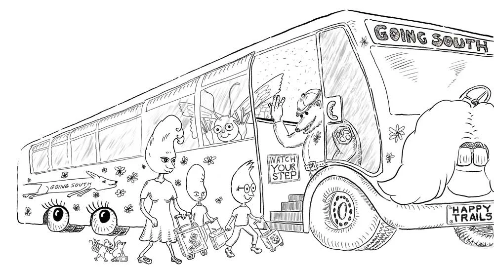 2019_02_04_all_aboard_-finished.jpg, Procreate,Children's picture book