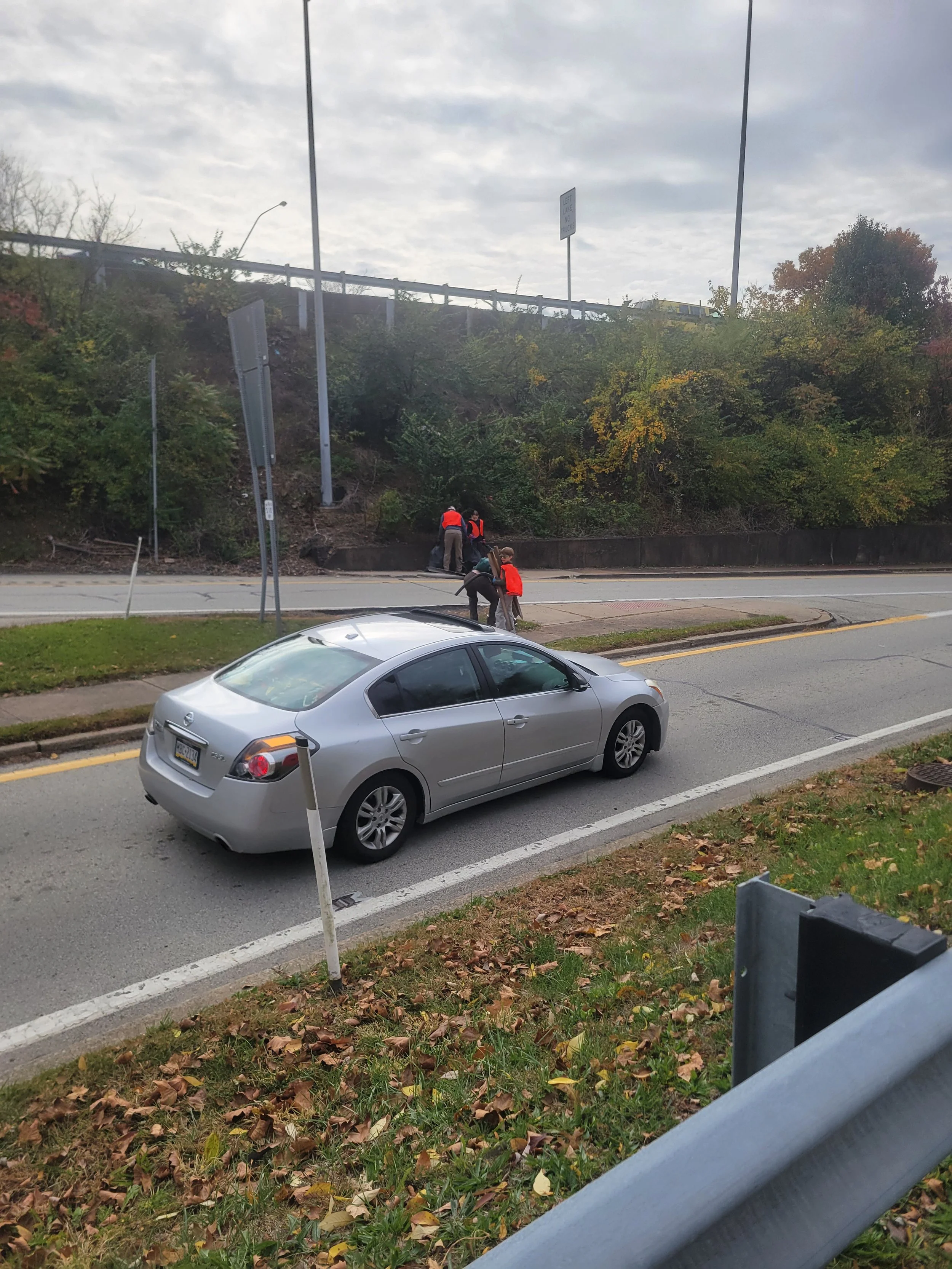 Summer Clean-up of I-376 (Parkway) Intersection