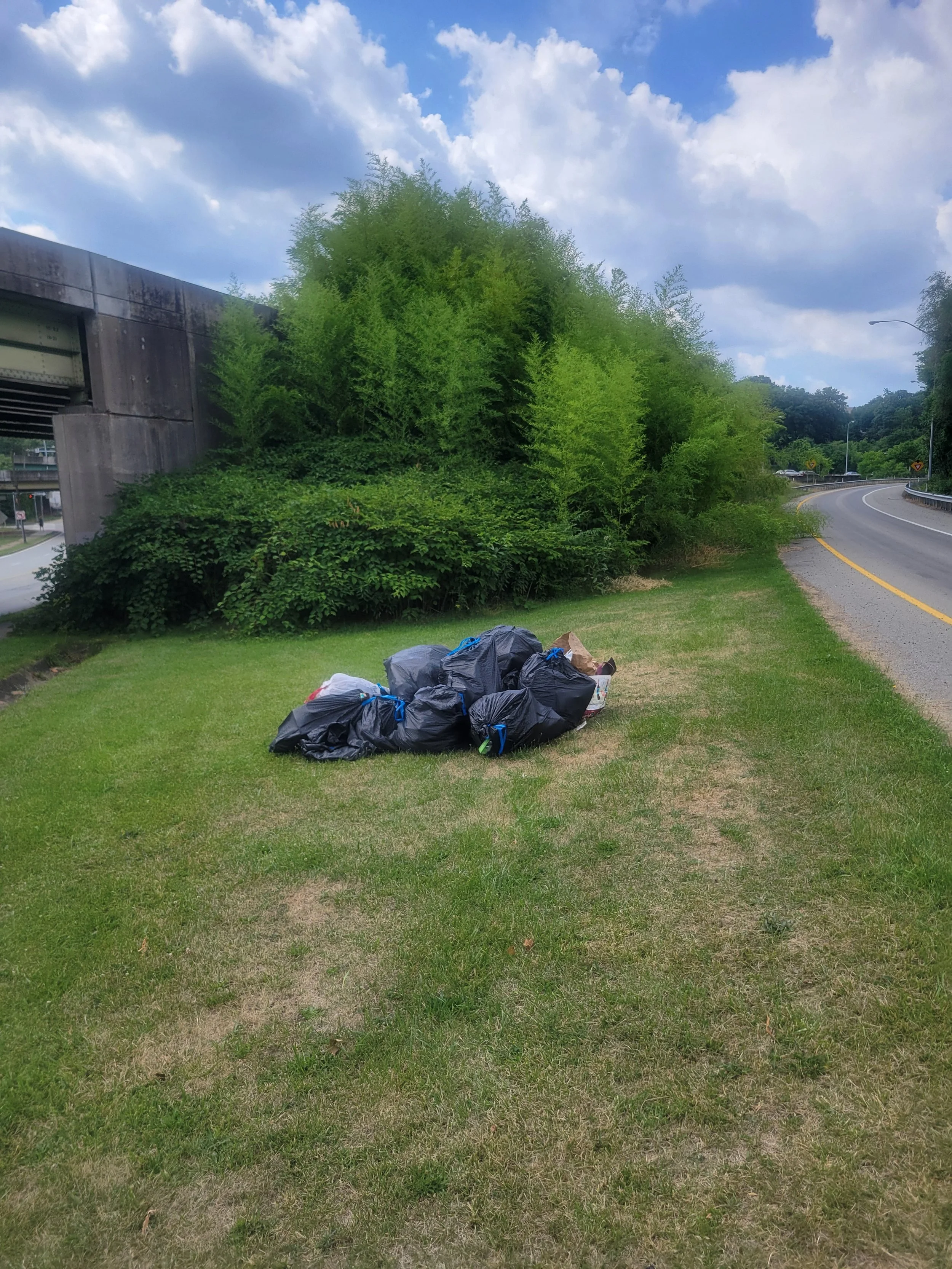 Fall Clean-up of I-376 (Parkway) Intersection