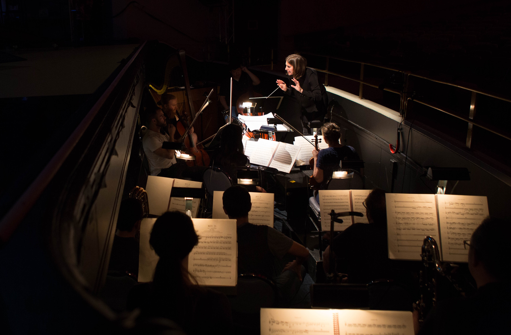 Chicago Opera Theater Names New Music Director