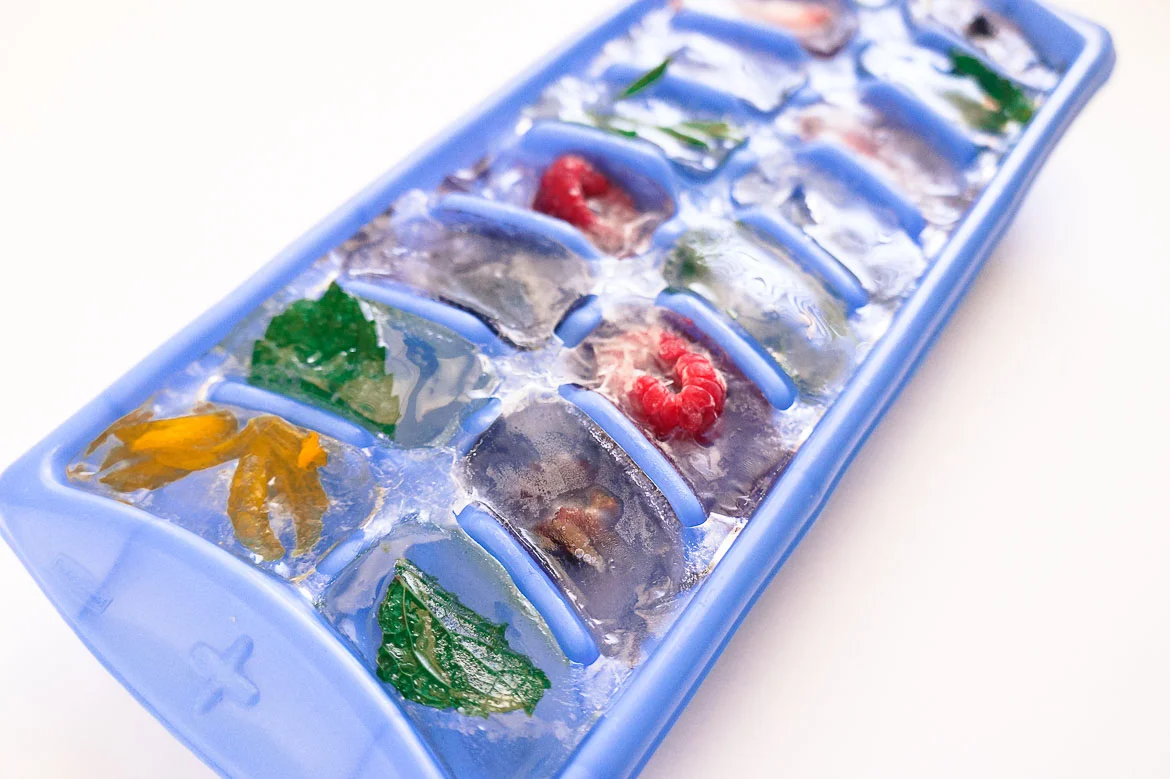 In Search of Our Gardens Memphis Wellness Blogger shares how to make edible flowers and fruit ice cubes