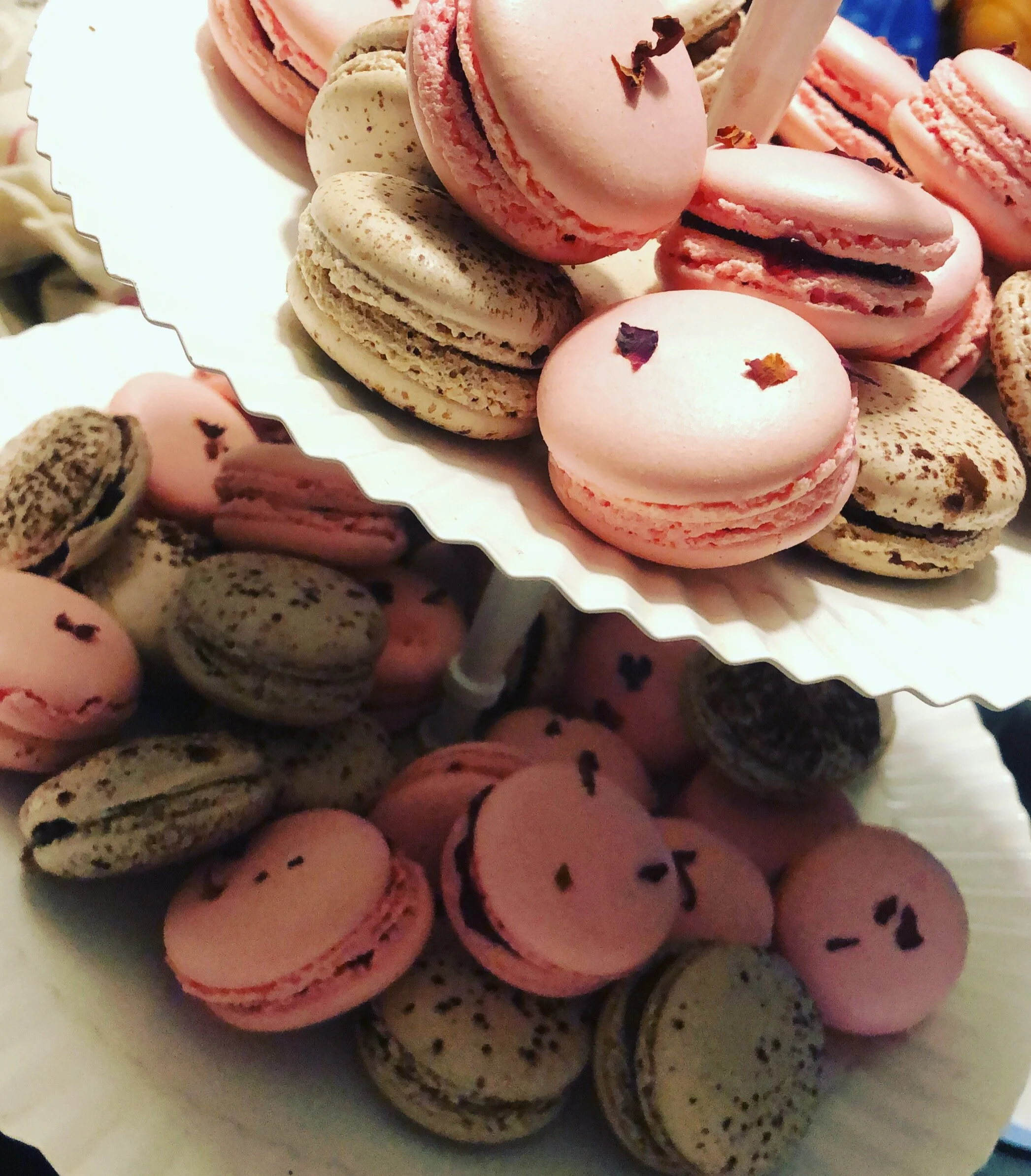 Chocolate Salted caramel & Raspberry Macarons