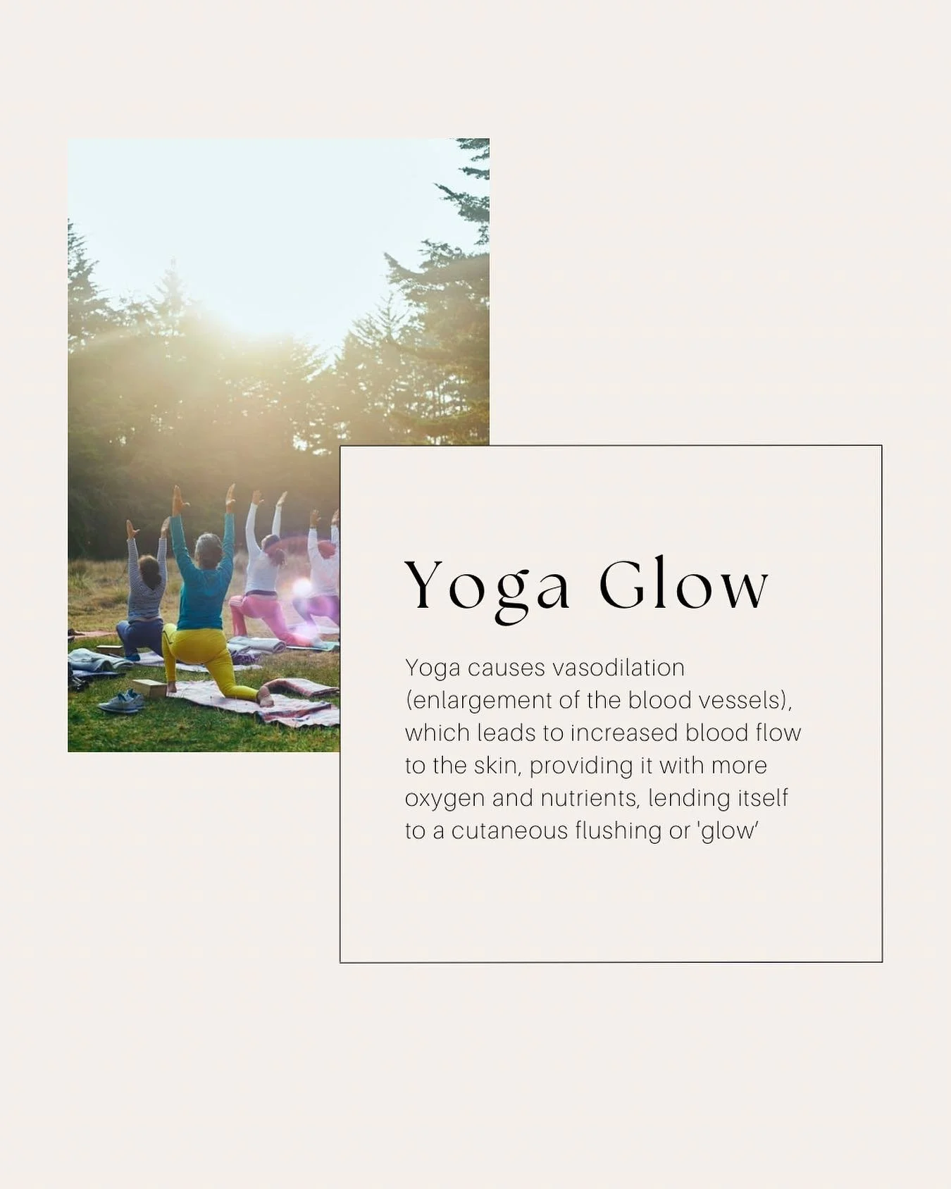 Let the yoga flow and your skin &amp; body glow✨

Join me for a Monday morning Hatha Yoga Flow at St Barnabas Centre in Christchurch. 10am - 11am

A small supported class offering you an hour fully immersed in your breath, body and self compassion. 
