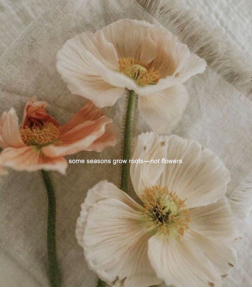 Honour who you are and allow yourself to be in your own truth💛