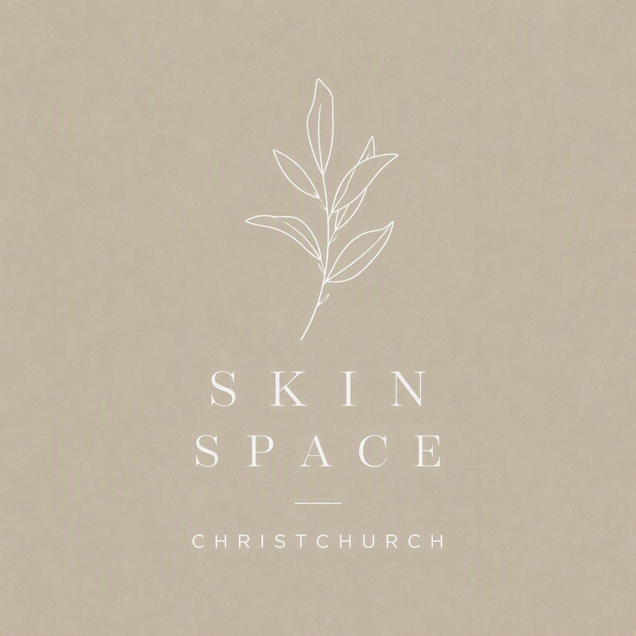 new skin space logo Sept 2026.png