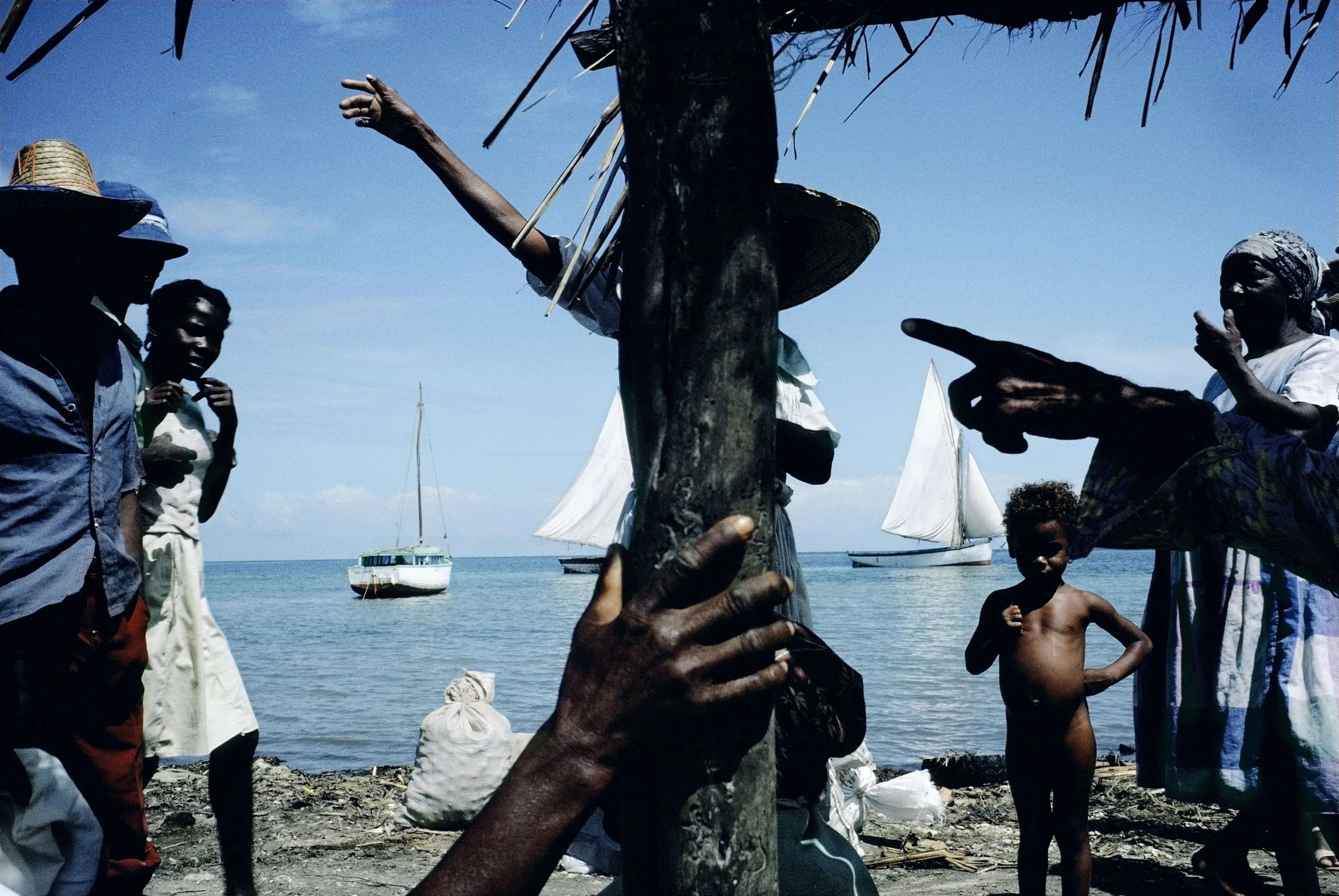 Alex Webb
