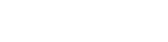 bliss logo 1 white.png