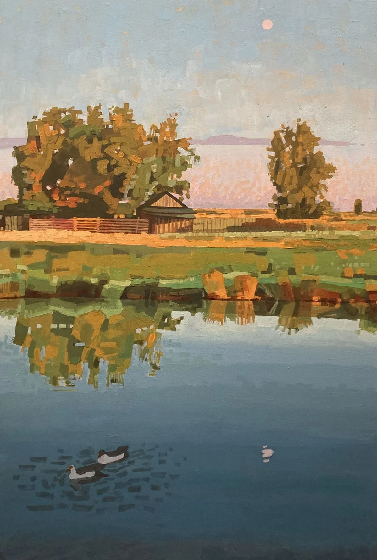 HAYLEY POMEROY-DUCK MOON.jpeg