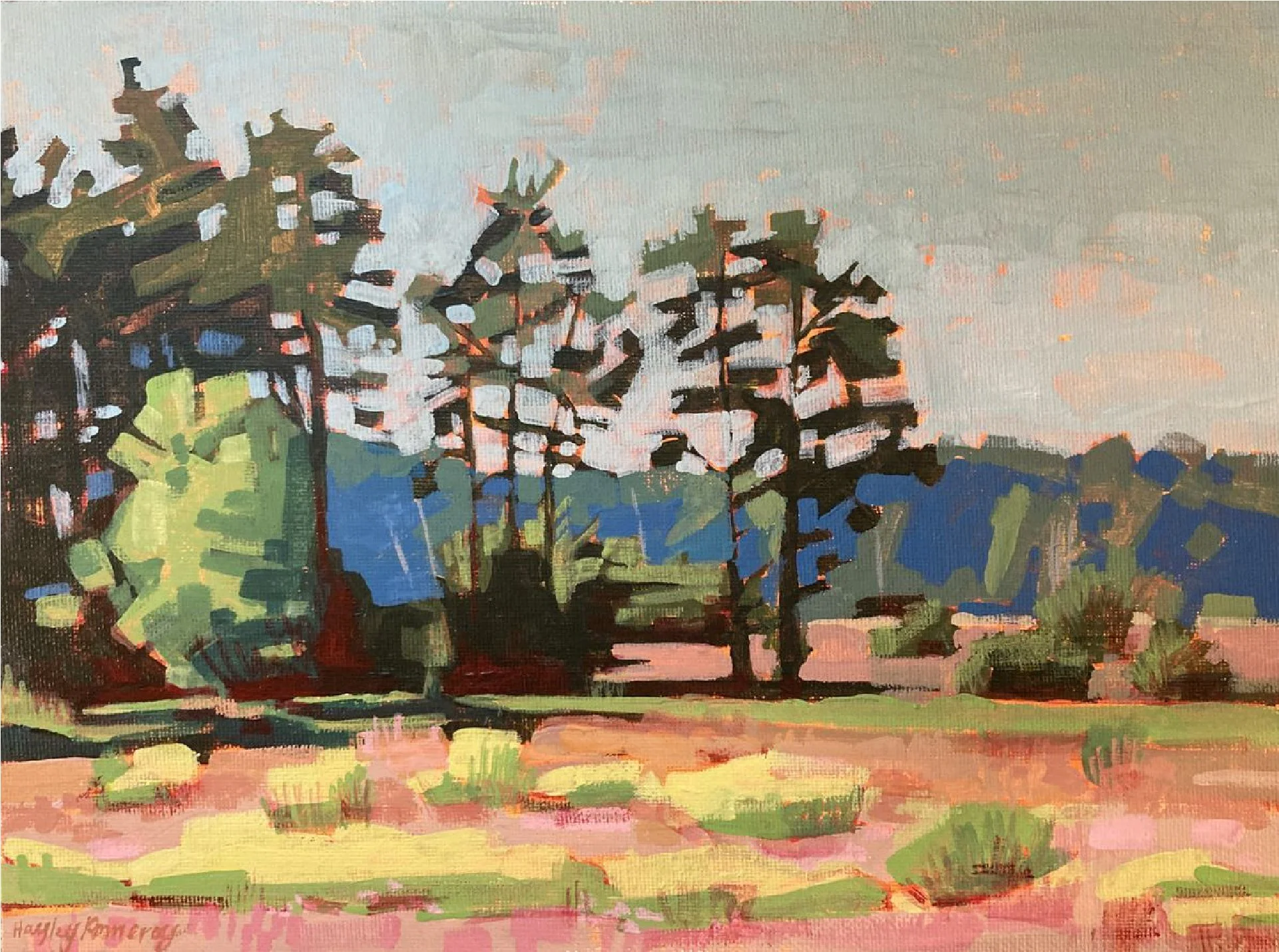 PINK LIGHT MEETS PINE LANES