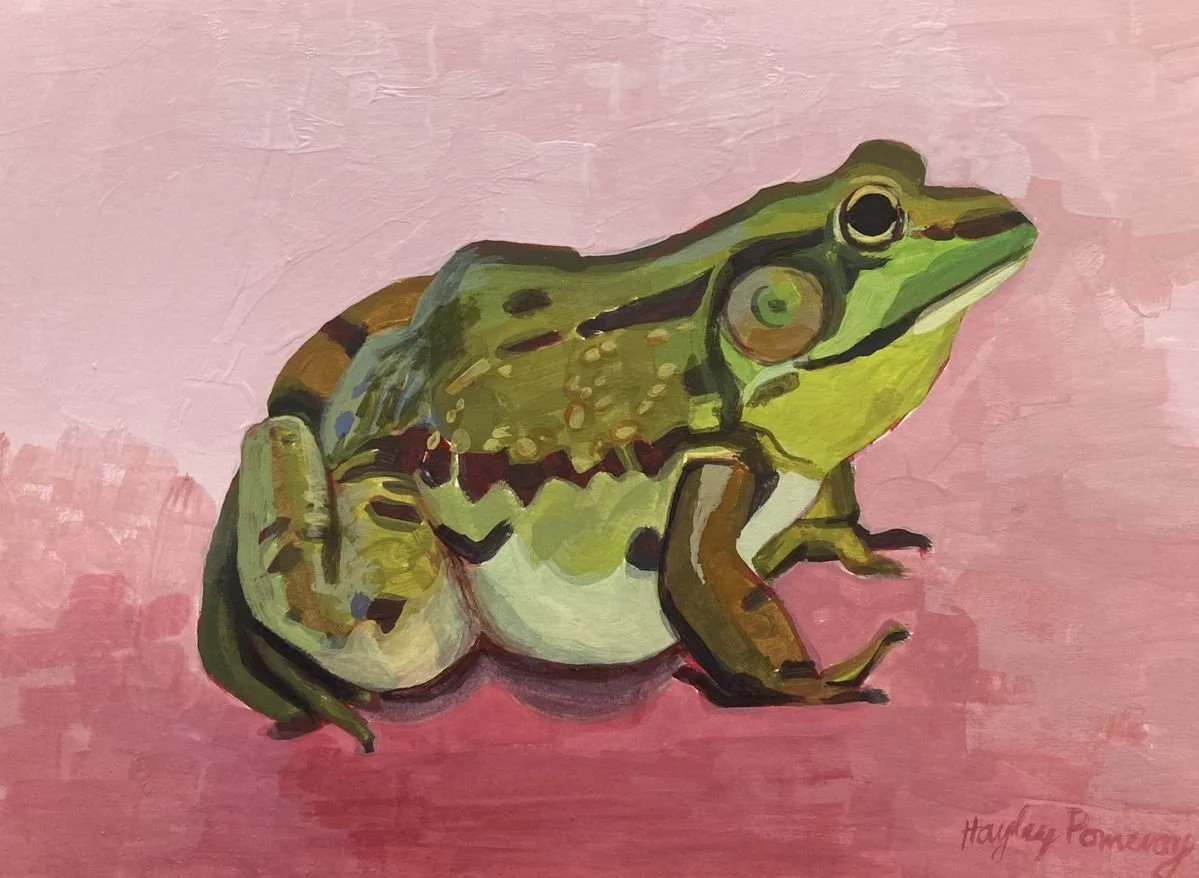 Frog Friend 6X8 ACRYLIC ON PAPER HAYLEY POMEROY 10-2025.jpeg