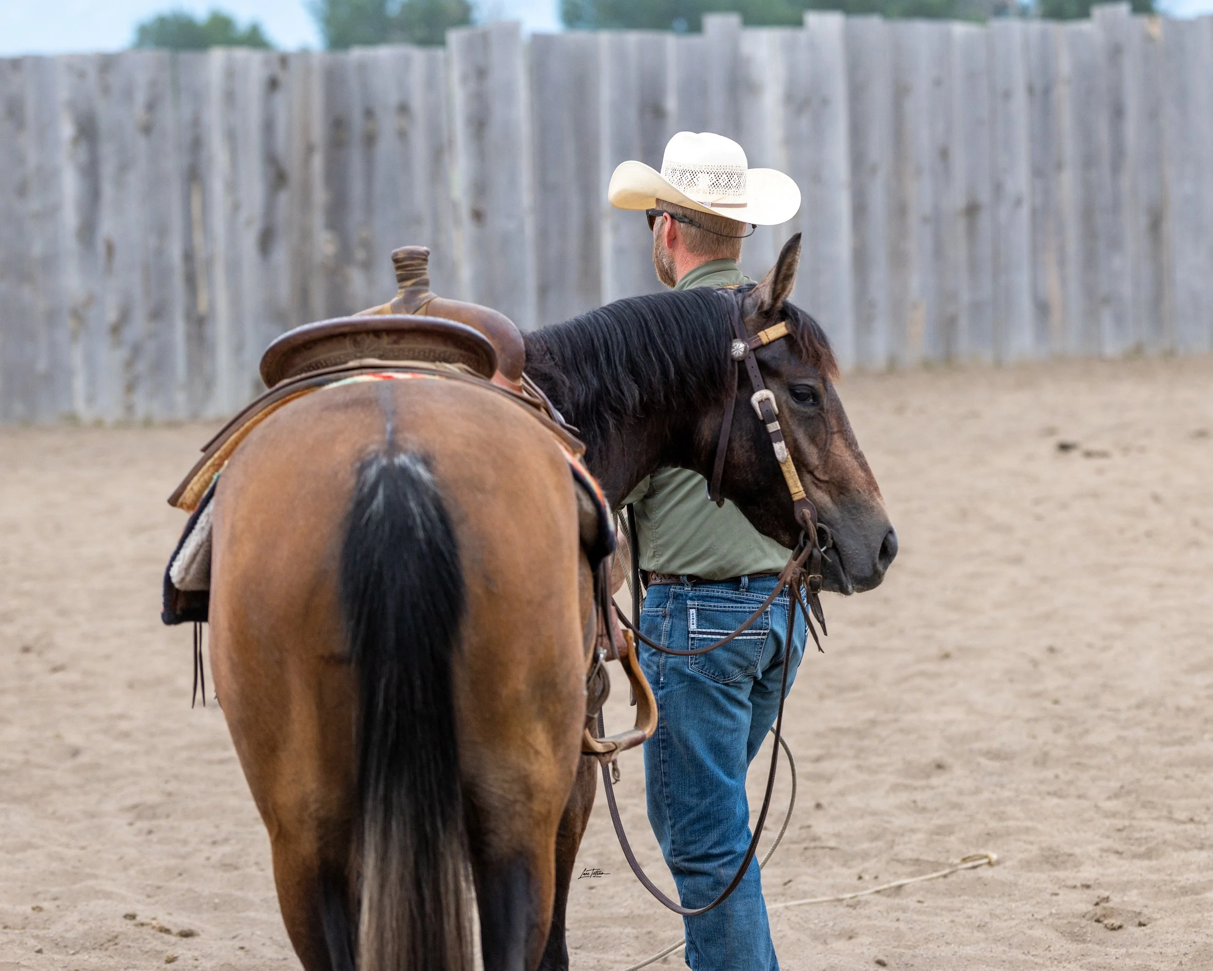 TILT0774-Edit.jpg