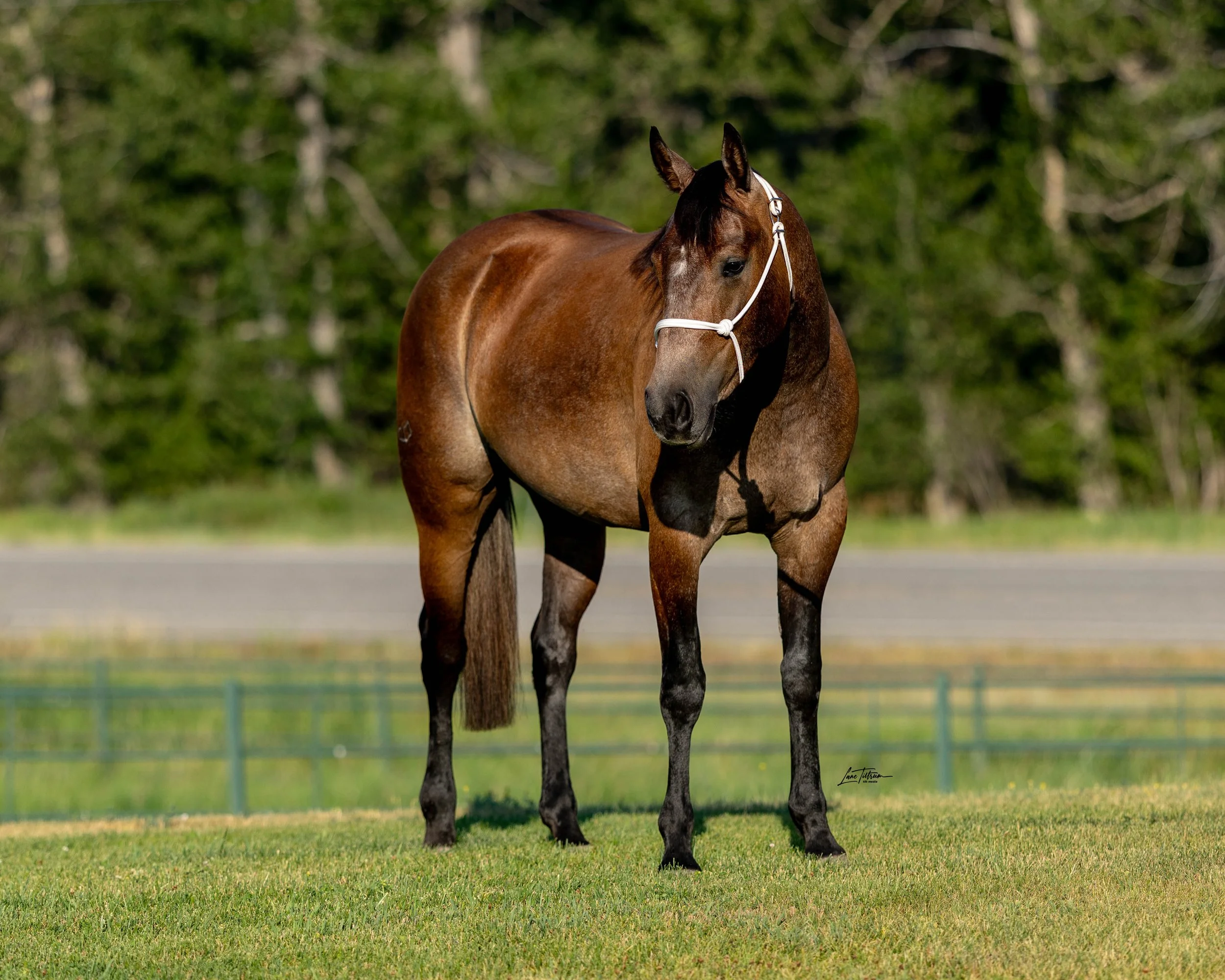 TILT0158-Edit.jpg